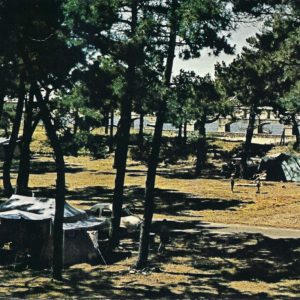 Camping de la Barre de l'Adour