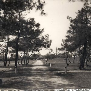 Camping Municipal de la Barre Embouchure de l'Adour