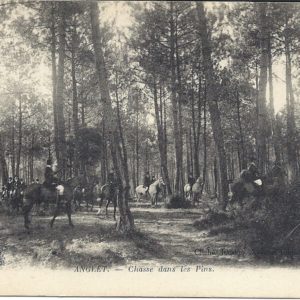 Chasse dans les Pins