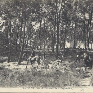 A travers les Pignadas