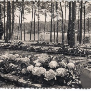 Anglet - Chambre d'Amour Le Lac de Chiberta