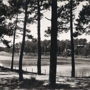 LA COTE BASQUE Anglet (Chambre d'Amour) Le Lac de Chiberta et les pins