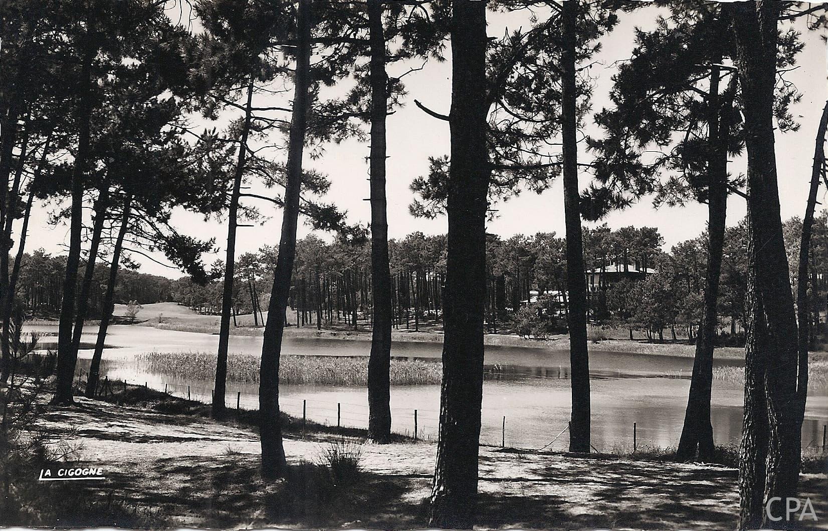 LA COTE BASQUE Anglet (Chambre d'Amour) Le Lac de Chiberta et les pins