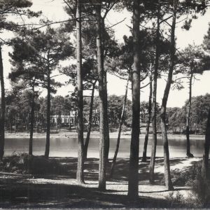 Forêt et Lac de Chiberta