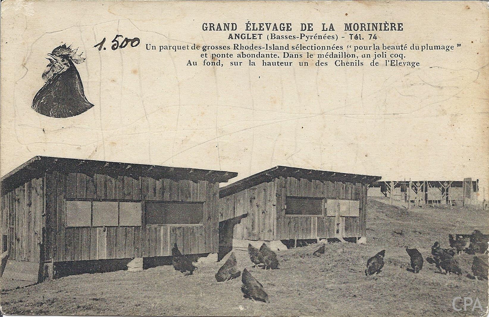 GRAND ELEVAGE DE LA MORINIERE ANGLET (Basses-Pyrénées) - Tél. 74