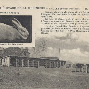 GRAND ELEVAGE DE LA MORINIERE - ANGLET (Basses-Pyrénées) - Tél. 74