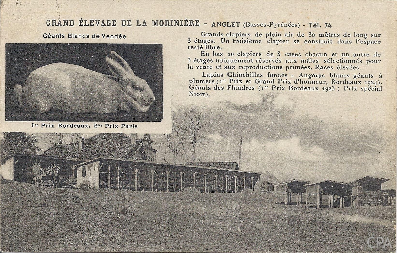 GRAND ELEVAGE DE LA MORINIERE - ANGLET (Basses-Pyrénées) - Tél. 74