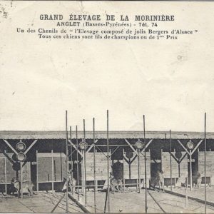 GRAND ELEVAGE DE LA MORINIERE ANGLET (Basses-Pyrénées) - Tél. 74