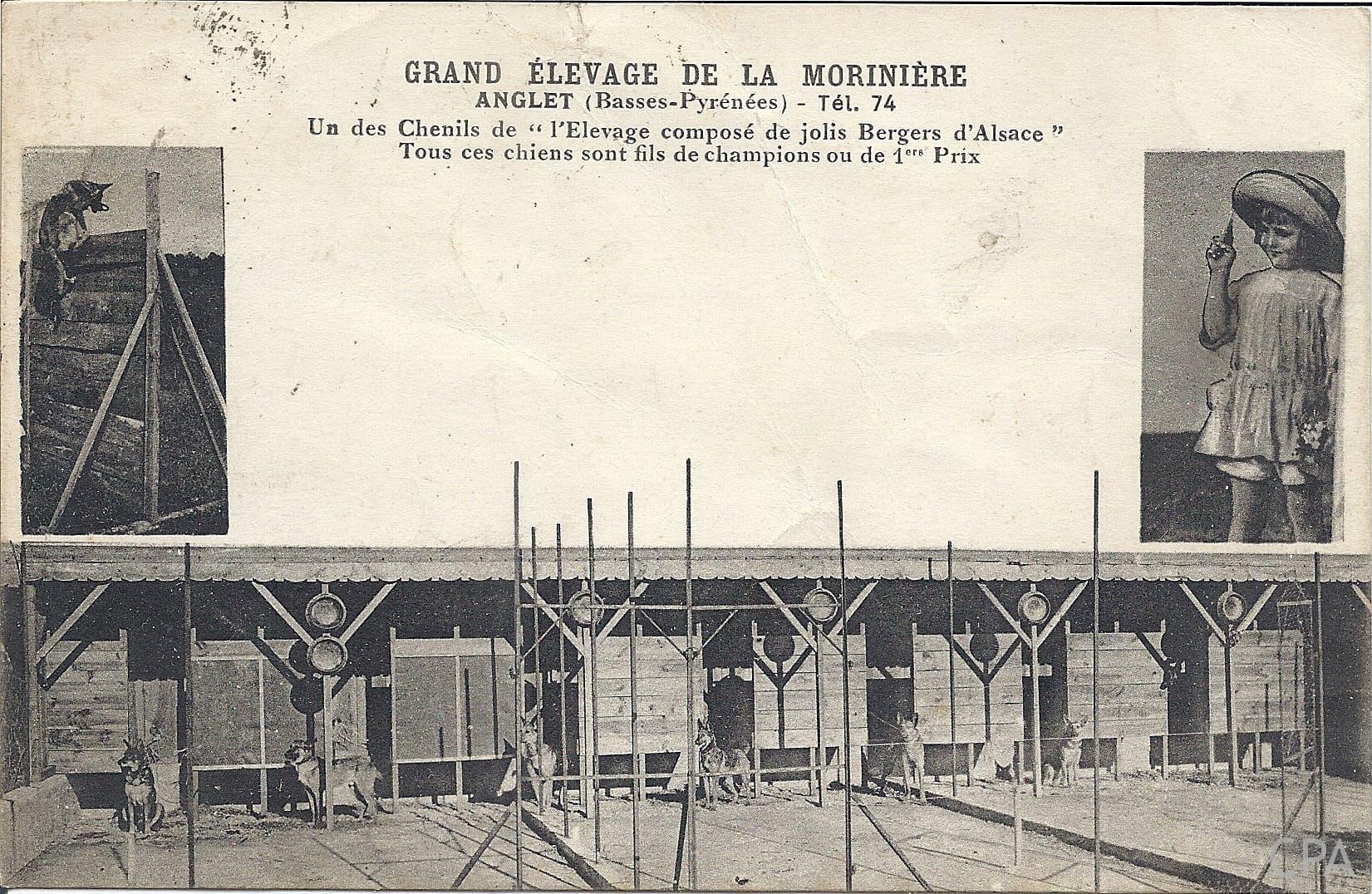 GRAND ELEVAGE DE LA MORINIERE ANGLET (Basses-Pyrénées) - Tél. 74