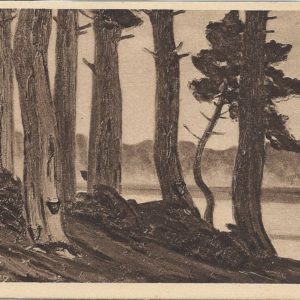 La Lande Pittoresque. L'Etang de Chiberta par Jean-Roger Sourgen : Nationale des Beaux-Arts