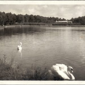 Cote Basque - Environs de Biarritz. Le Lac de Chiberta