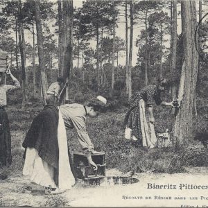 Biarritz Pittoresque - Récolte de Résine dans les Pignadas