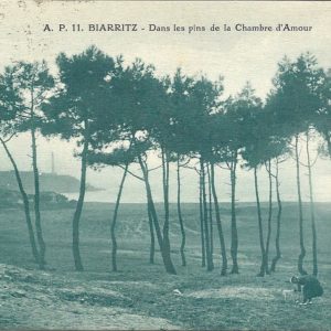 Dans les pins de la Chambre d'Amour