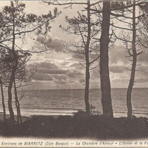 (Côte Basque) - La Chambre d'Amour - L'Océan et la Forêt
