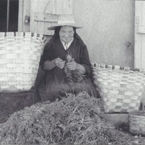 1991 Notre Dame du Refuge Sœur Ambroise triant les carottes