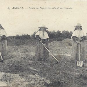 Sœurs du Refuge travaillant aux champs