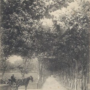 Allée du Refuge aux cinq Cantons