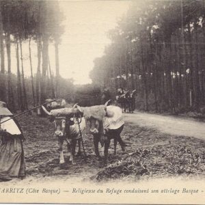 (Côte Basque) - Religieuse du Refuge conduisant son attelage Basque 4478