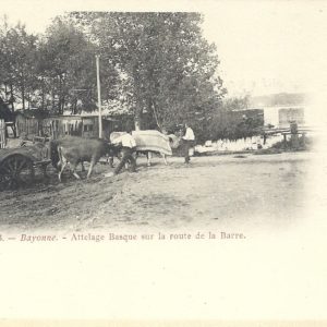 Attelage Basque sur la route de la Barre