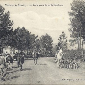 Sur la route du Tir de Montbrun