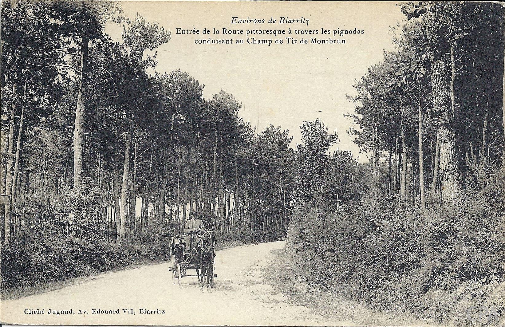Entrée de la route pittoresque à travers les pignadas conduisant au Champ de Tir de Montbrun