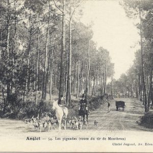 Les Pignadas (route du Tir de Montbrun)
