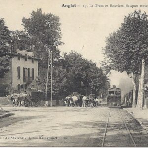 Le Tram et Bouviers Basques traversant Saint-Jean