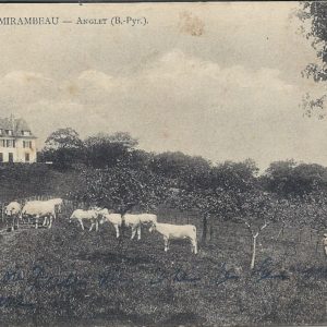 (B.-Pyr.). - MIRAMBEAU