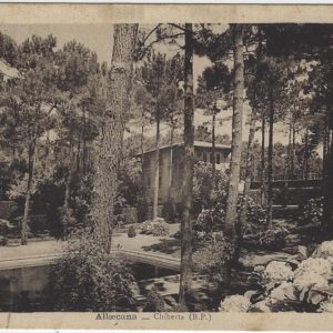 Allaecana Chiberta (B.P.)