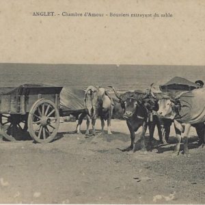 Chambre d'Amour - Bouviers extrayant du sable