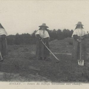 Sœurs du Refuge travaillant aux champs