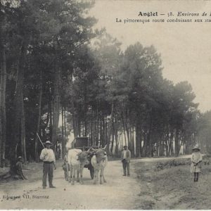La pittoresque route conduisant aux stands de Montbrun