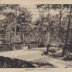 ALLAECANA - Chiberta (B.-P.)