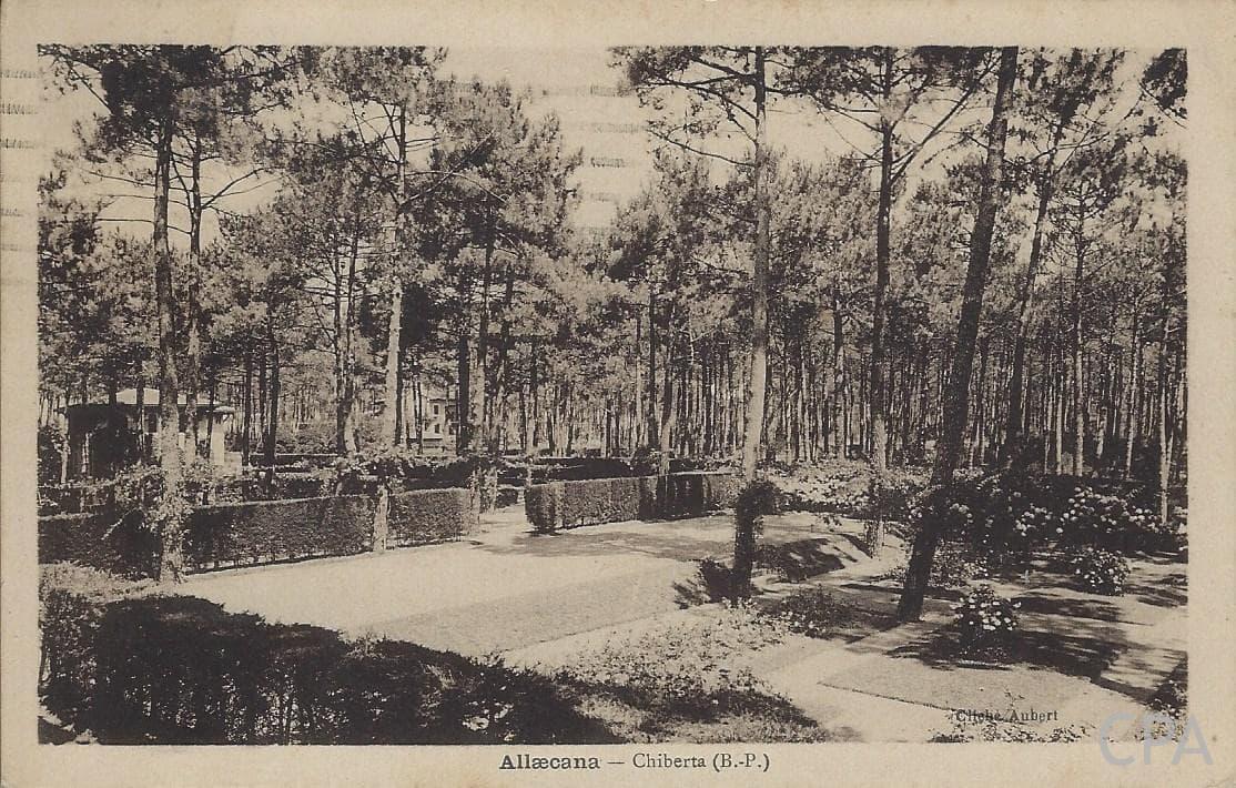 ALLAECANA - Chiberta (B.-P.)