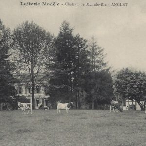 Laiterie Modèle - Château de Montdeville