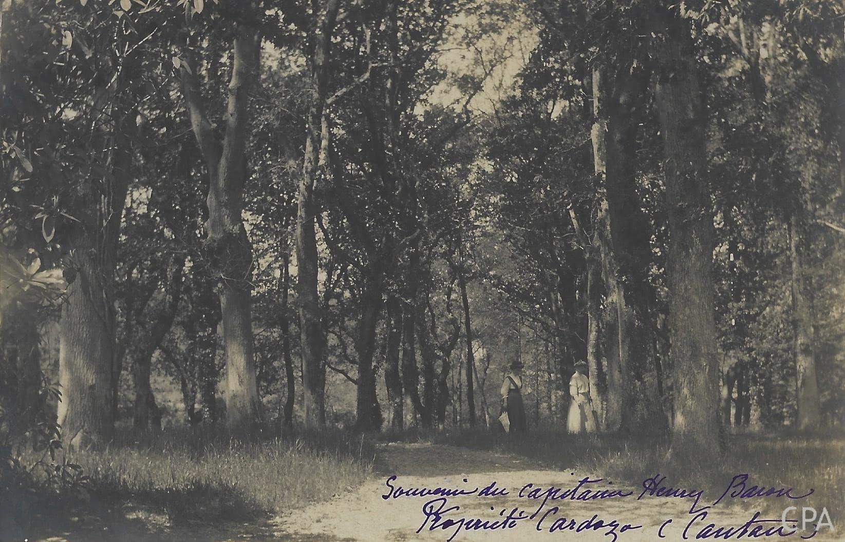 Propriété Cardoza Cantau Souvenir du Capitaine Henry Baron
