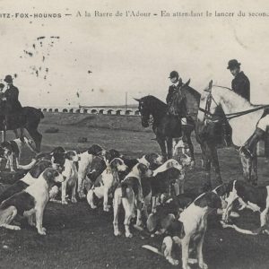 BIARRITZ-FOX-HOUNDS - A la Barre de l'Adour - En attendant le lancer du second Renard