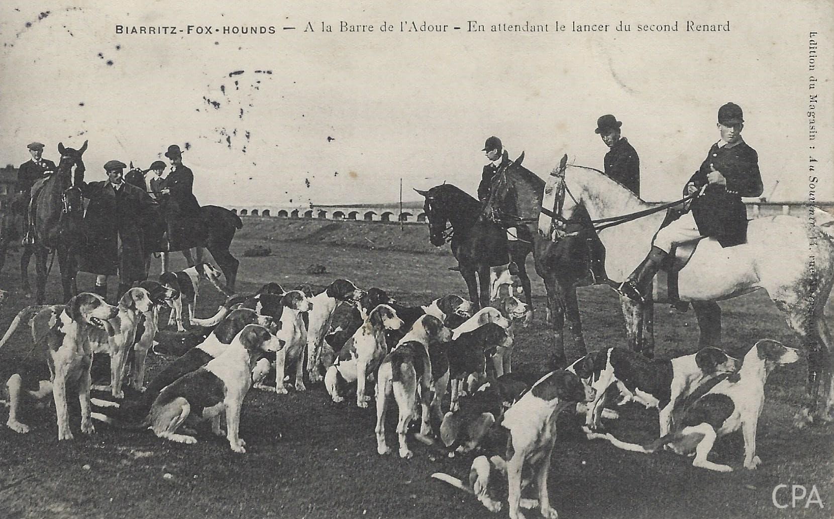 BIARRITZ-FOX-HOUNDS - A la Barre de l'Adour - En attendant le lancer du second Renard