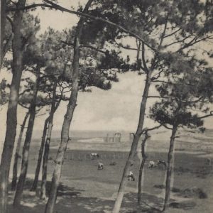 Un coin de la Chambre d'Amour