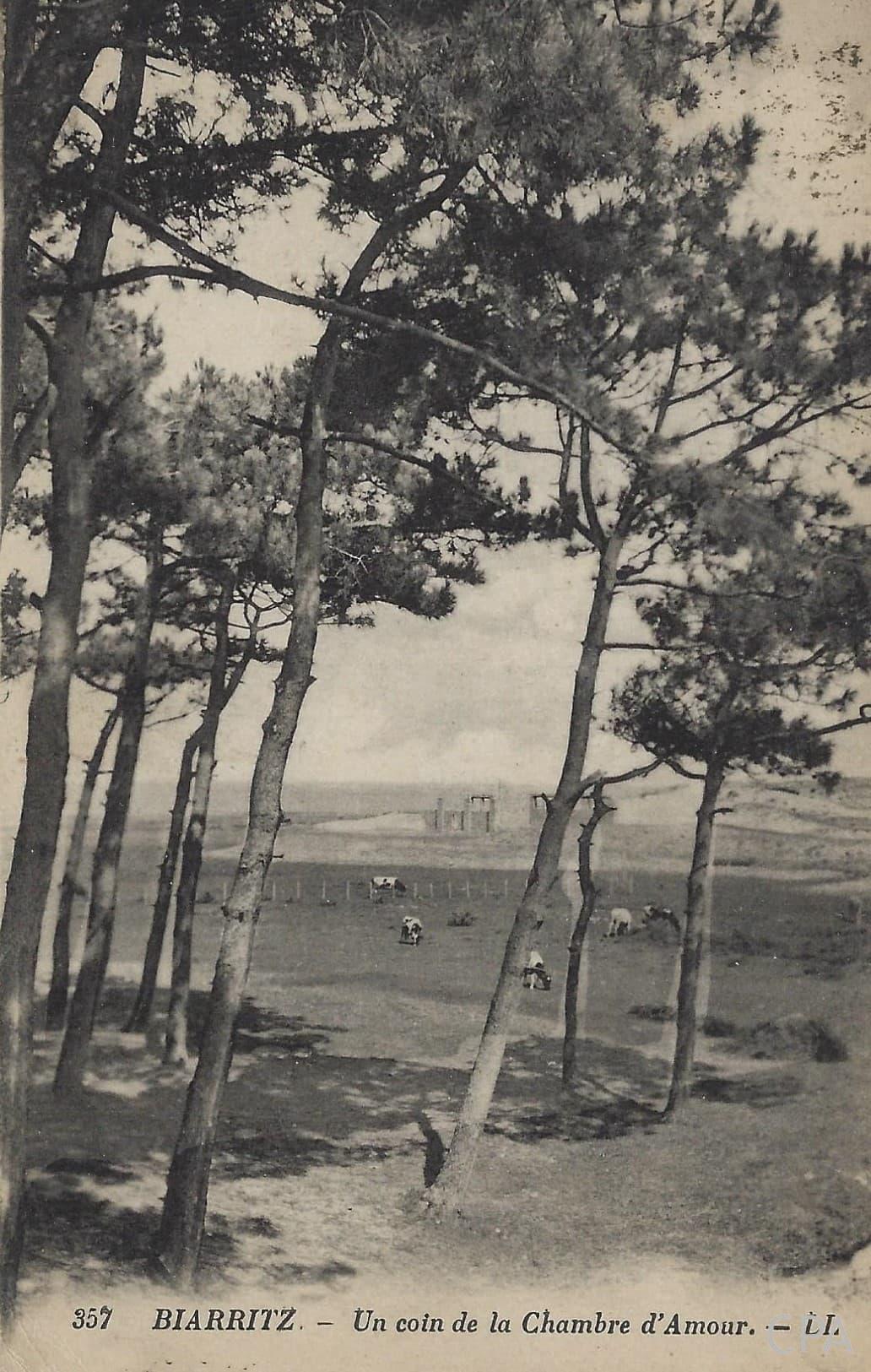 Un coin de la Chambre d'Amour