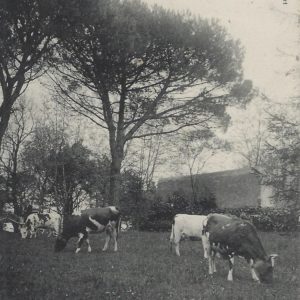 Laiterie Modèle - Château du Montdeville