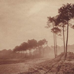 TOUTE LA FRANCE - GOLF DE CHIBERTA Parcours N° 16 - Sixteenth Fair way