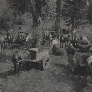 Travaux de jardinage dans une propriété.