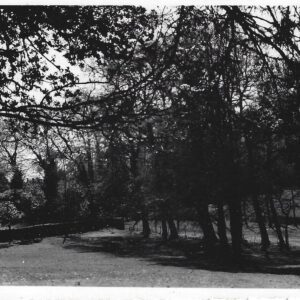 Nid des fauvettes Un coin du parc