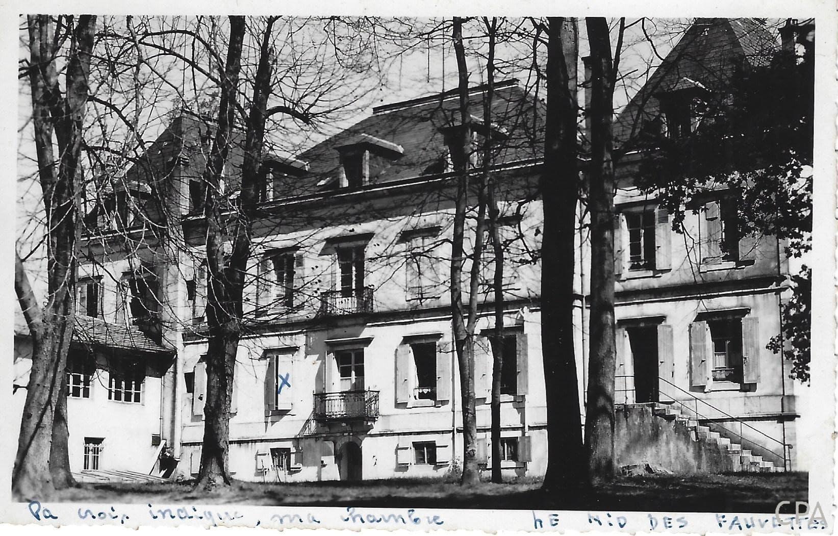 Le nid des Fauvettes